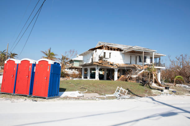 Best Tree Cabling and Bracing  in Black Creek, WI